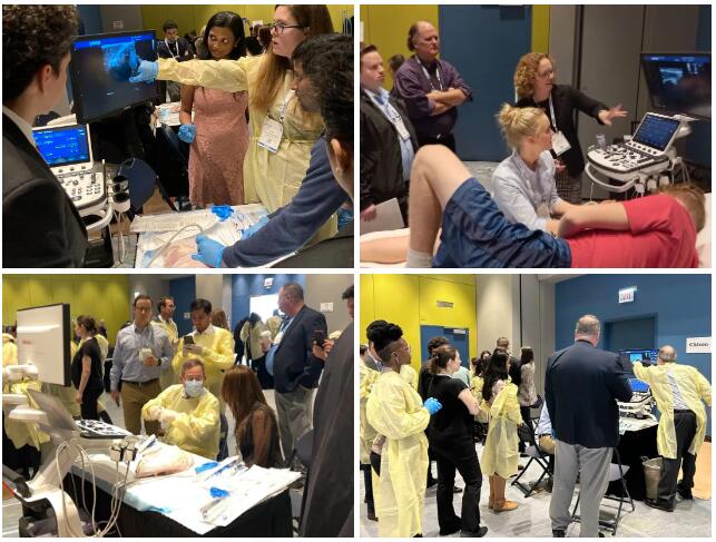 The practice of hands-on techniques in RSNA's popular Simulation Labs with CHISON