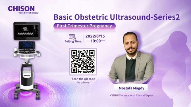 Basic Obstetric Ultrasound-Series 2