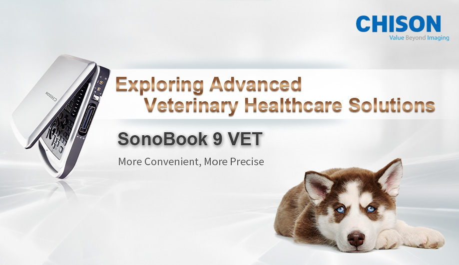 Exploring Advanced Veterinary Healthcare Solutions