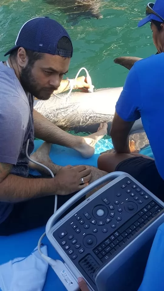 This model is designed for compact space and portability. Lightweight and rechargeable, it uses battery-powered start-up and increases ease of operation.