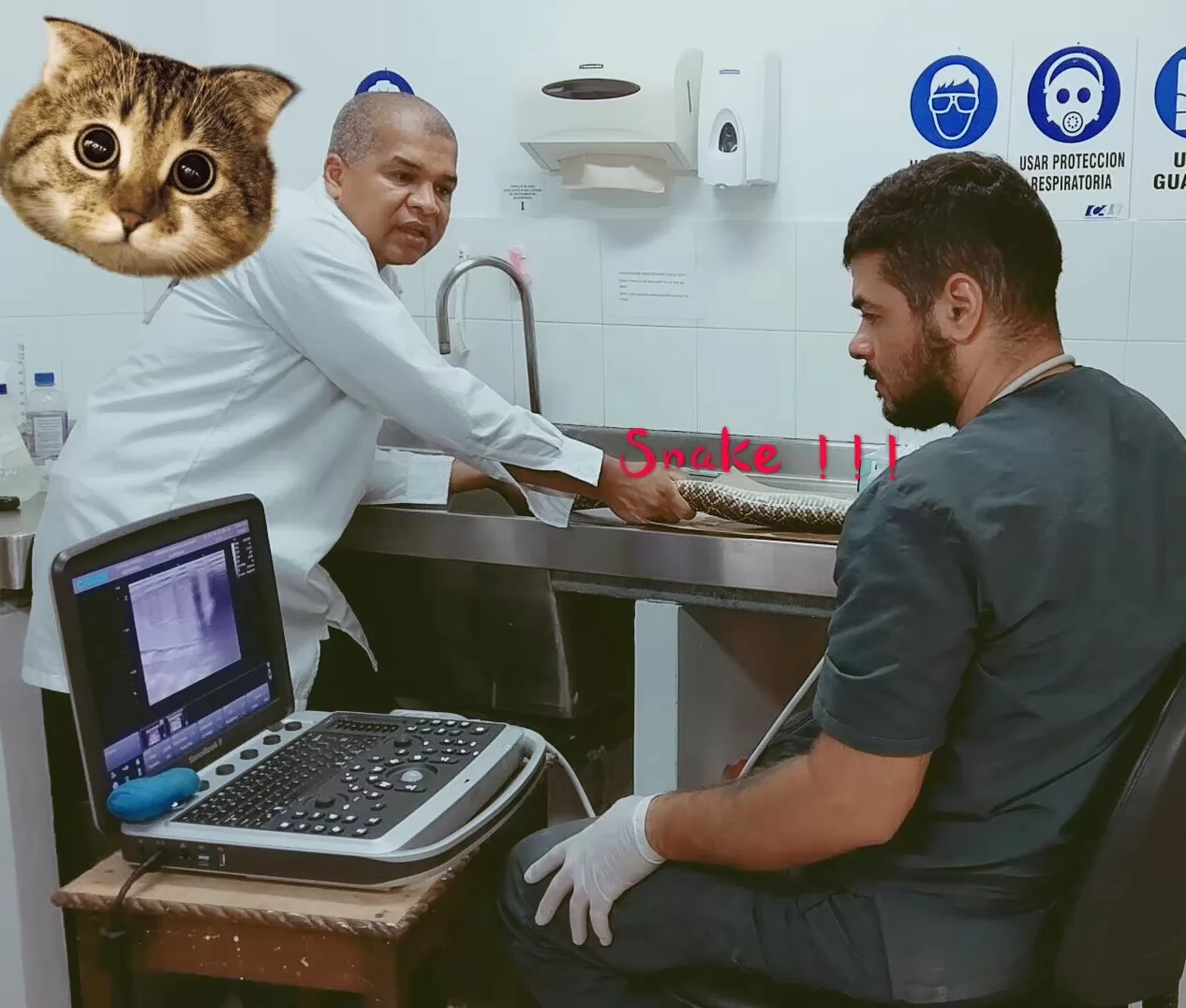 Our selection of veterinary ultrasound machines varies in price and technology. Perhaps you want top-of-the-line diagnostic imaging capable of detecting heart valve problems, or maybe you just need basic ultrasound findings.