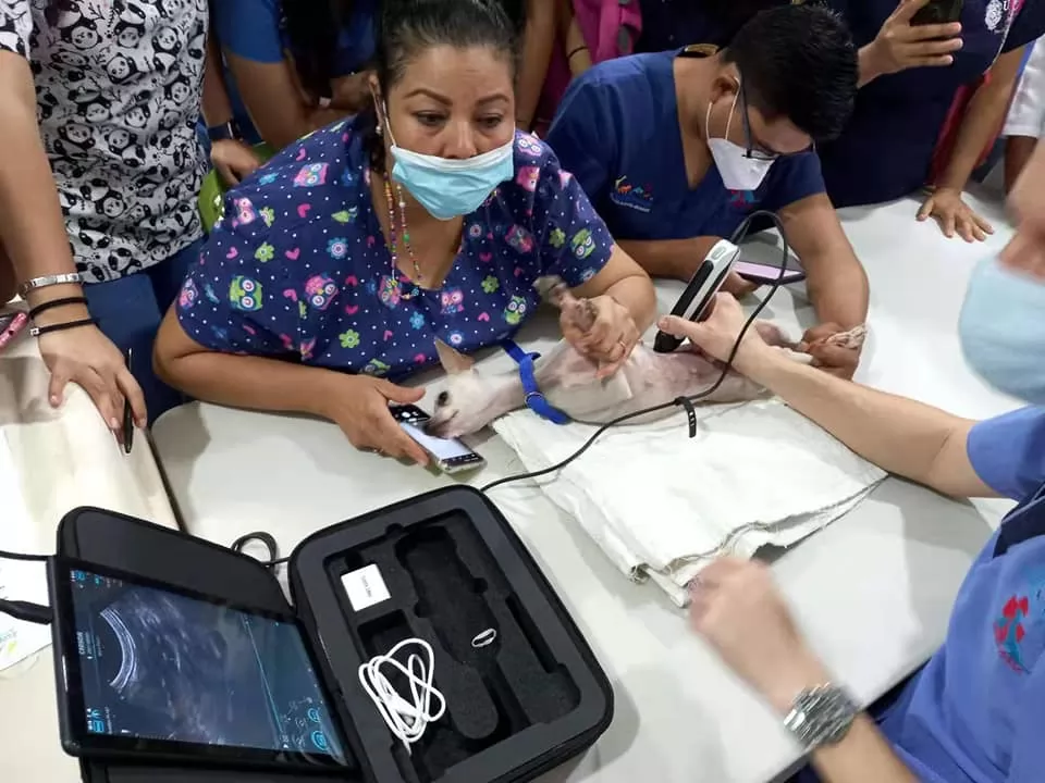 Conventional colour Doppler ultrasound systems use single beamformer technology, thereby using a single beamformer to process a set of echo signals for imaging.