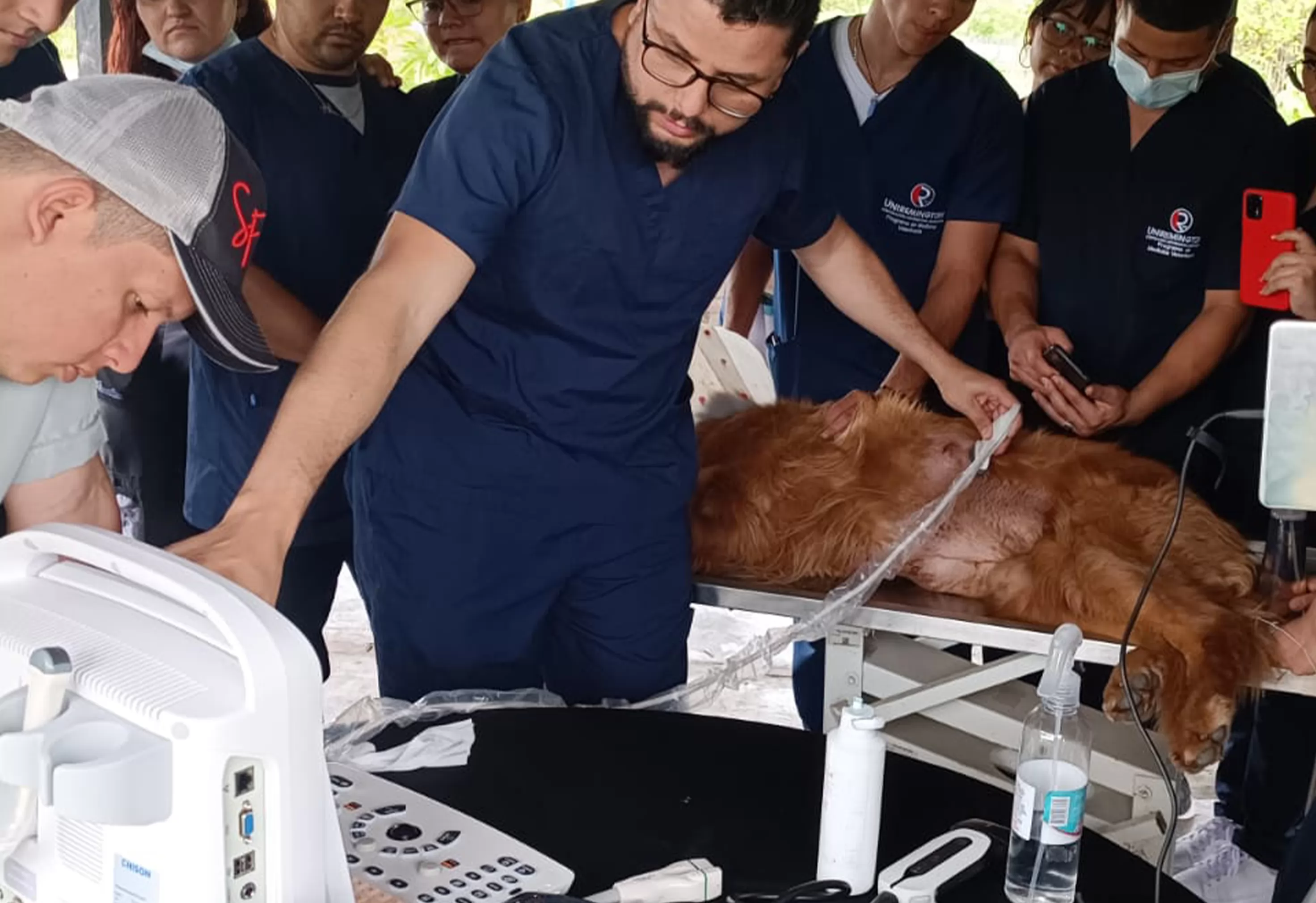 Designed for egg retrieval, embryo transfer, horse and companion animal examination using needle guidance software.