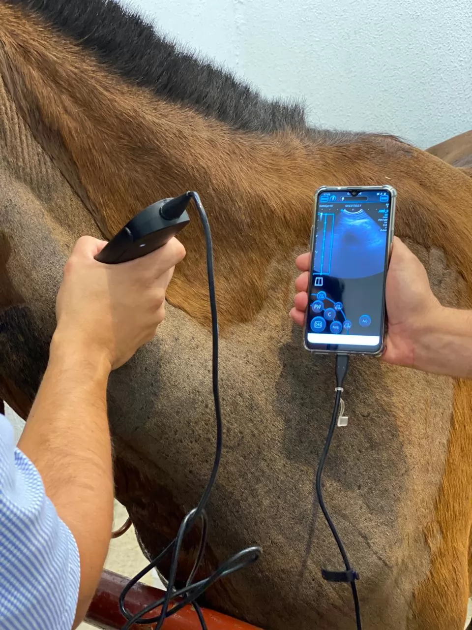 High image quality, veterinary protocols, patient image management, sealed biosafety enclosure. Light enough to go anywhere.