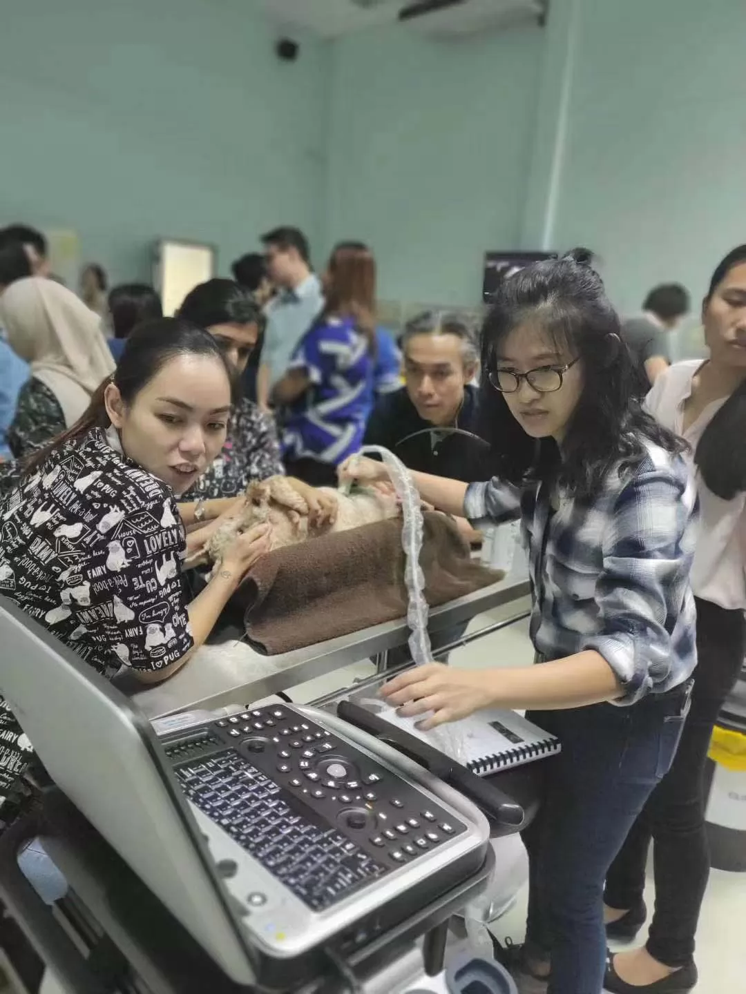 They can also be used to guide biopsy procedures and other interventions. 