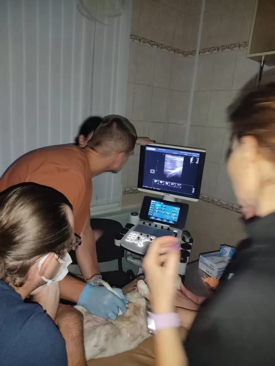 A dog ultrasound machine typically includes a transducer probe that is placed on the dog's skin, and a monitor that displays the images.